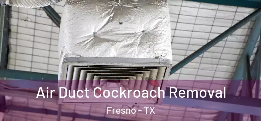  Air Duct Cockroach Removal Fresno - TX