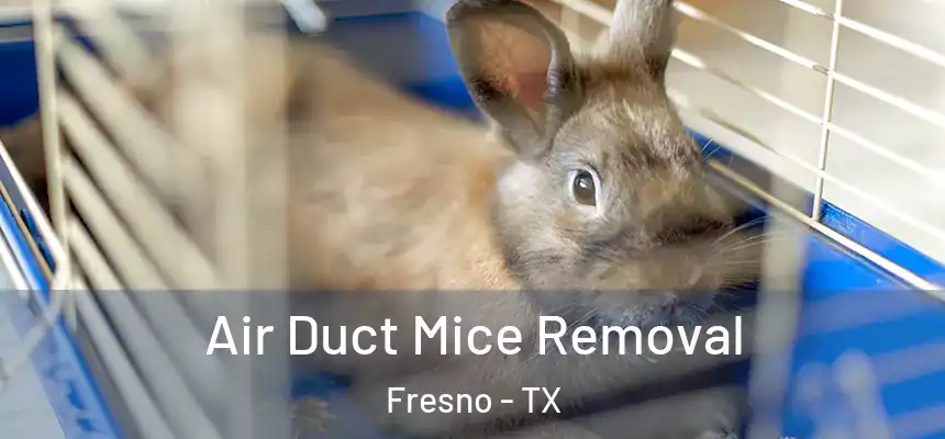  Air Duct Mice Removal Fresno - TX