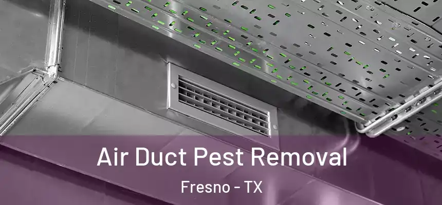 Air Duct Pest Removal Fresno - TX