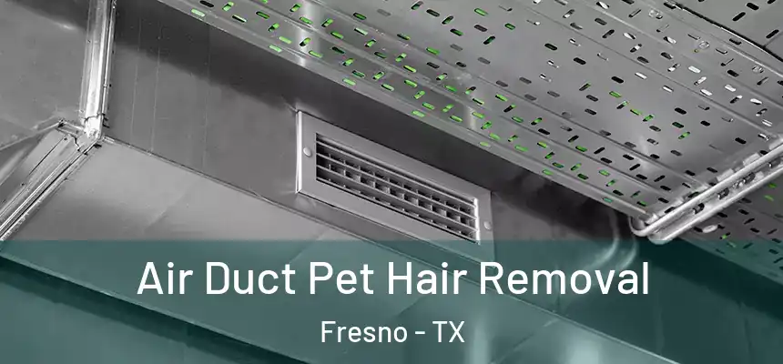  Air Duct Pet Hair Removal Fresno - TX