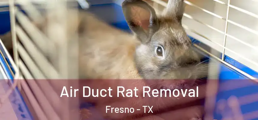  Air Duct Rat Removal Fresno - TX