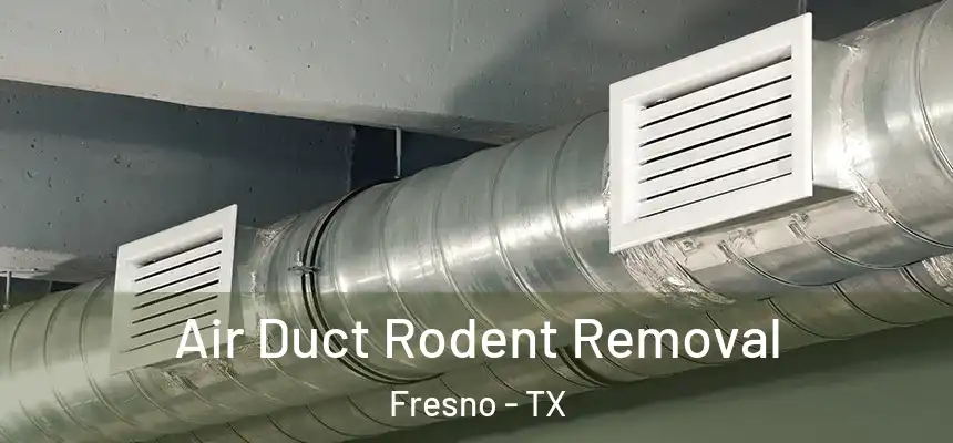  Air Duct Rodent Removal Fresno - TX