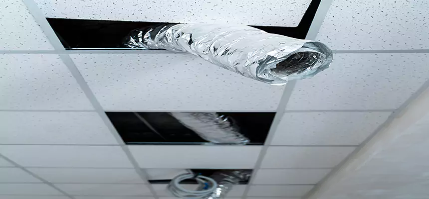 Our Air Duct Pet Hair Removal Services in Fresno, TX