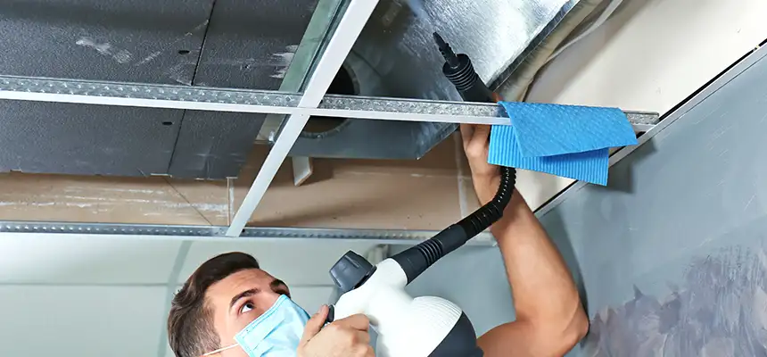 Our Air Duct Rodent Removal Services in Fresno, TX