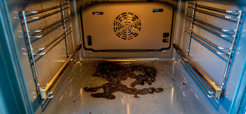 Our Dryer Vent Mold Cleaning Services in Fresno, TX