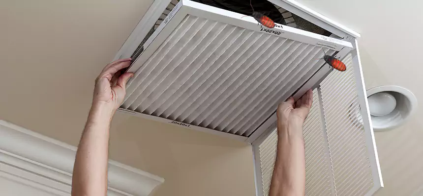 Our Insect Removal from Air Ducts Services in Fresno, TX