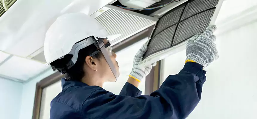 Our Mold & Mildew Removal from Air Ducts Services in Fresno, TX