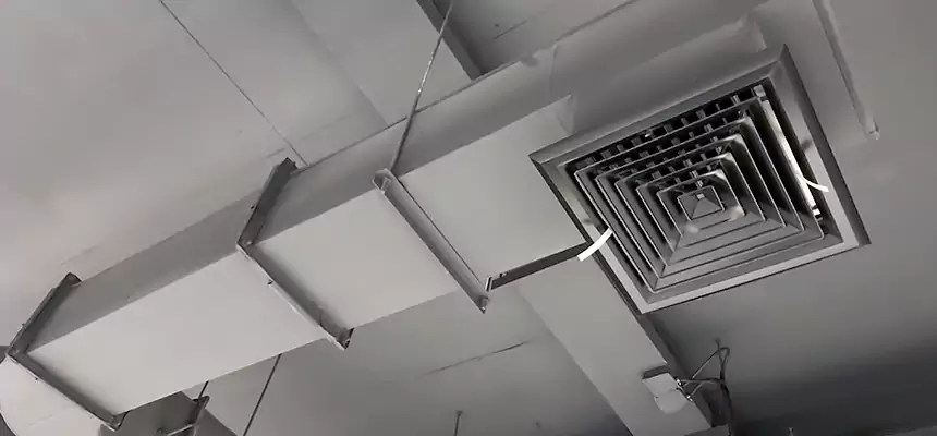 Our Pest Removal From Ducts Services in Fresno, TX