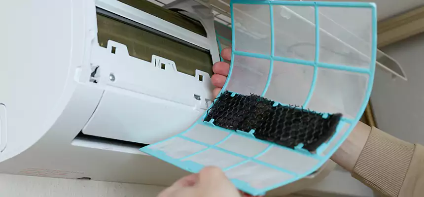 Gentle Ductwork Odor-Control Pet Dander Duct Cleaning in Fresno, TX