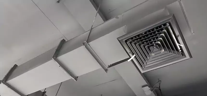 Our Rodent Droppings In Vents Services in Fresno, TX