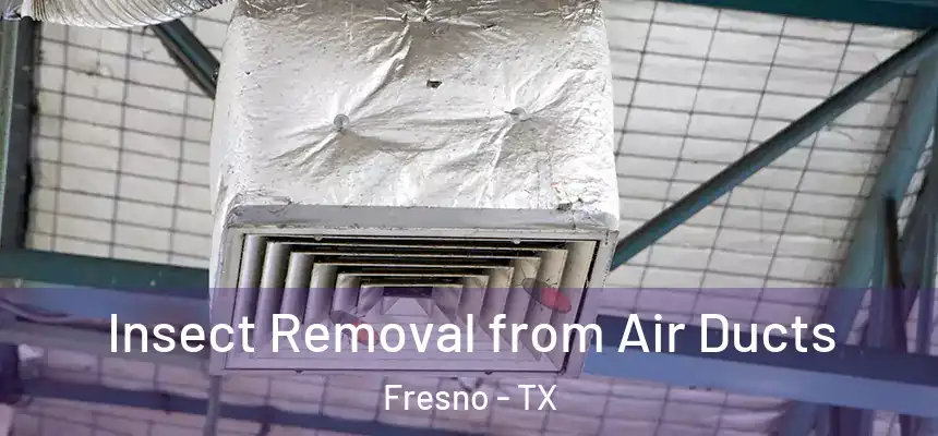  Insect Removal from Air Ducts Fresno - TX