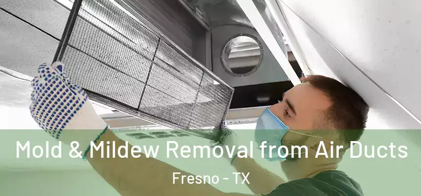 Mold & Mildew Removal from Air Ducts Fresno - TX