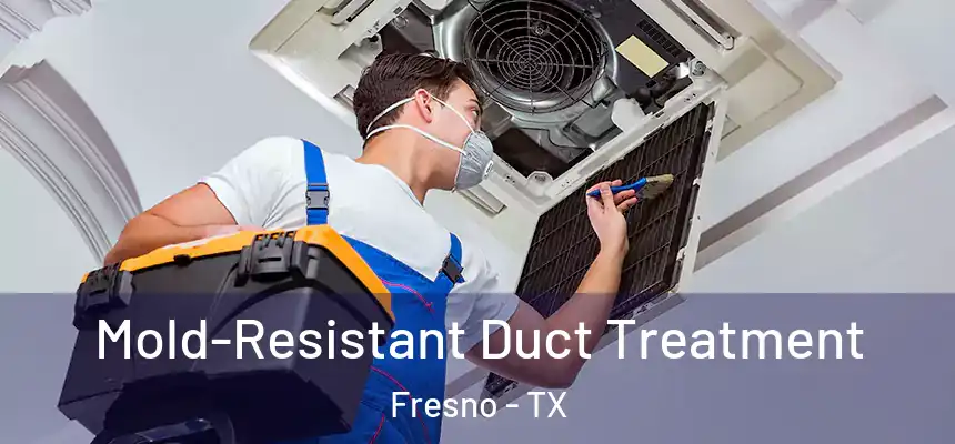  Mold-Resistant Duct Treatment Fresno - TX