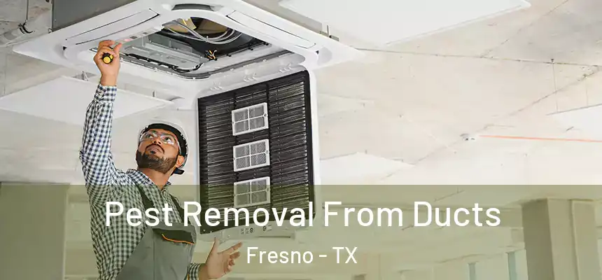  Pest Removal From Ducts Fresno - TX