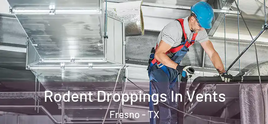 Rodent Droppings In Vents Fresno - TX