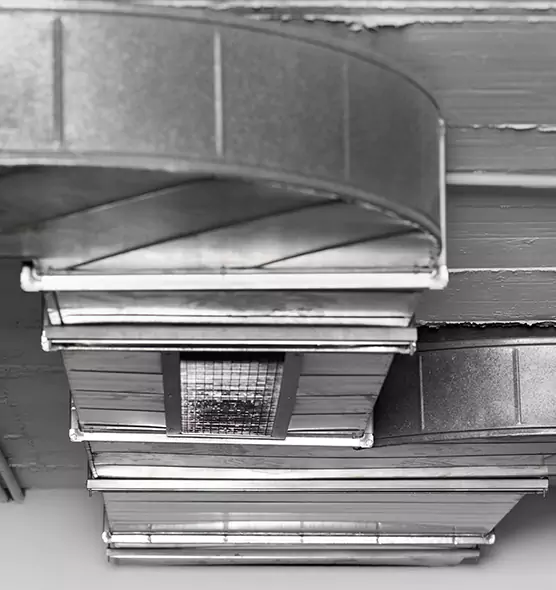 Professional Air Duct Pet Hair Removal in Fresno, TX