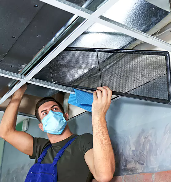 Professional Air Duct Pollen Cleaning in Fresno, TX