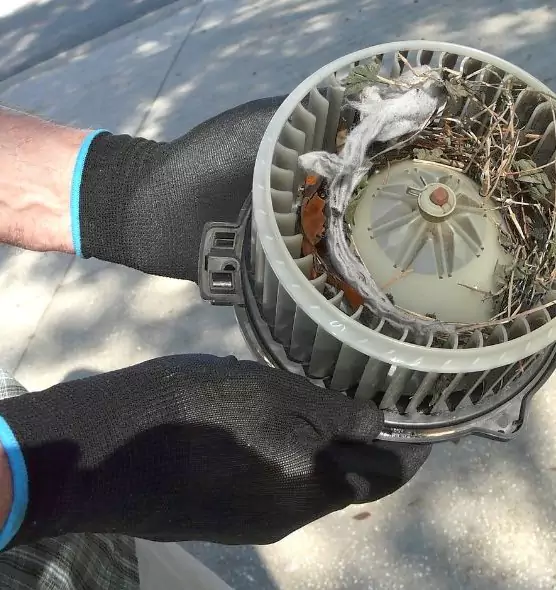 About Air Duct Rat Removal in Fresno, TX