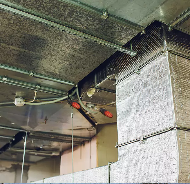 Why Homeowners & Businesses Trust Us in Fresno, TX?