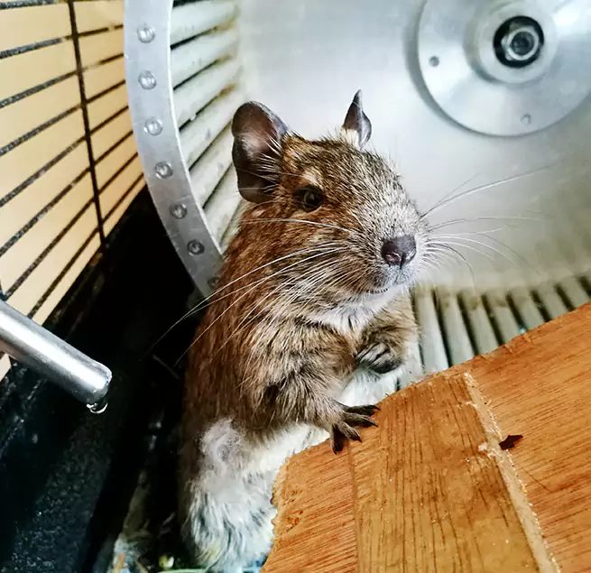 Why Homeowners & Businesses Trust Us Fresno, TX