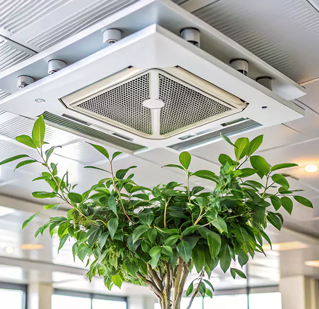 Why Homeowners & Businesses Trust Us in Fresno, TX