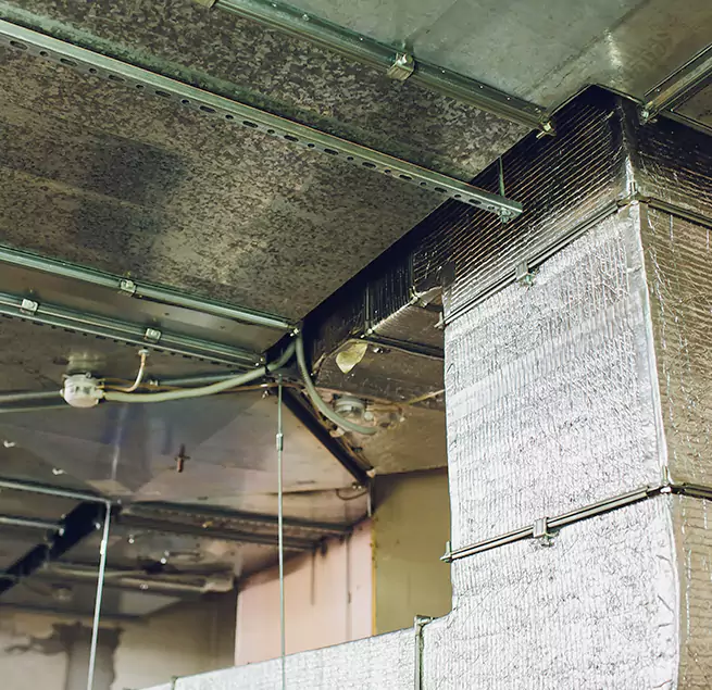 Why Homeowners & Businesses Trust Us in Fresno, TX?